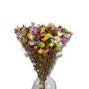Buquê De Margarida Colorida Desidratada 60cm Flores Secas