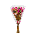 Buquê De Margarida Colorida Desidratada 60cm Flores Secas