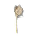 Buquê Desidratado Rabo De Lobo Natural Grande 90cm Casamento