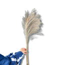 Buquê Desidratado Rabo De Lobo Natural Grande 90cm Casamento