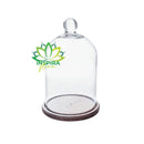 Redoma Cúpula De Vidro Com Base De Madeira Decoração 14X30 - G