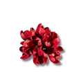 1 Pacote 10 Unidades Flor de Rosa Tefé Desidratado Natural Decoração