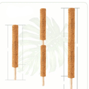Tutor De Coco Para Plantas Trepadeiras Fibra De Coco Fixo