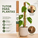 Tutor De Coco Para Plantas Trepadeiras Fibra De Coco Fixo